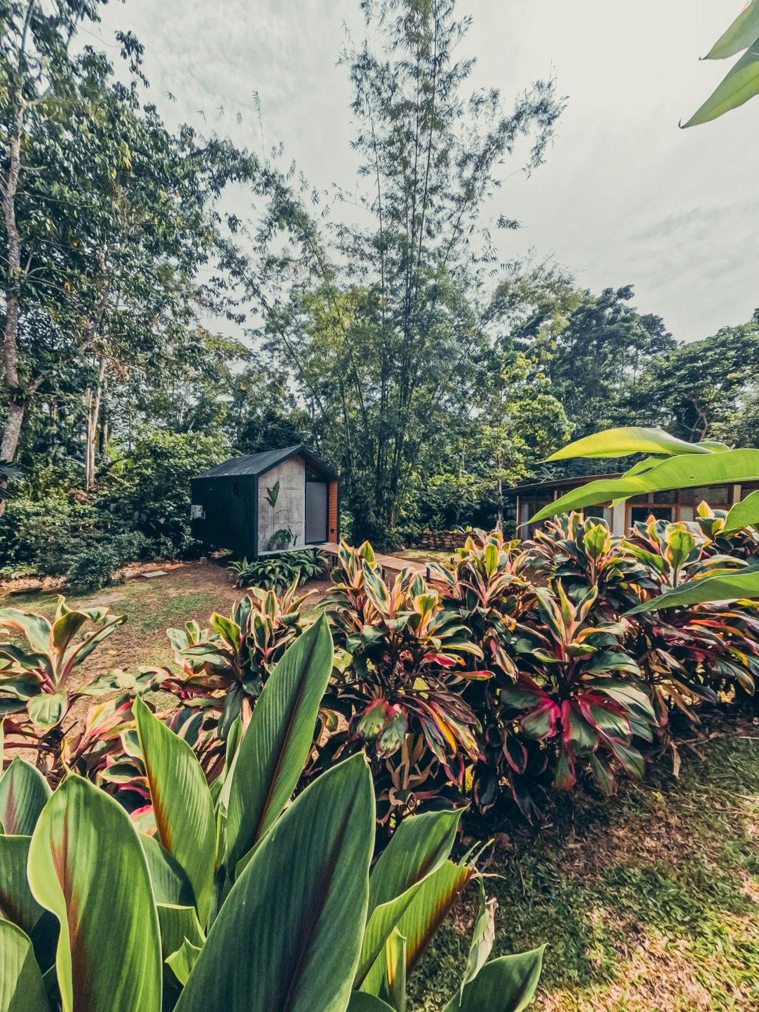 Tagua Lodge Tena Esterno foto