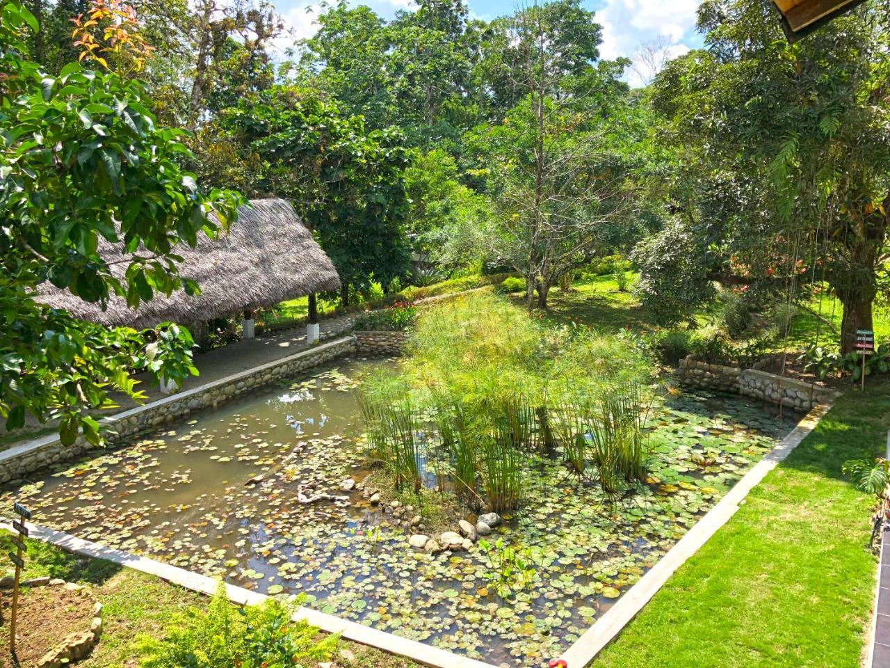 Tagua Lodge Tena Esterno foto